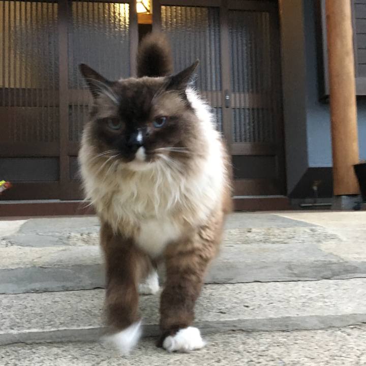 C04aa29d 1db7 4c5c a244 b116c2faabd9