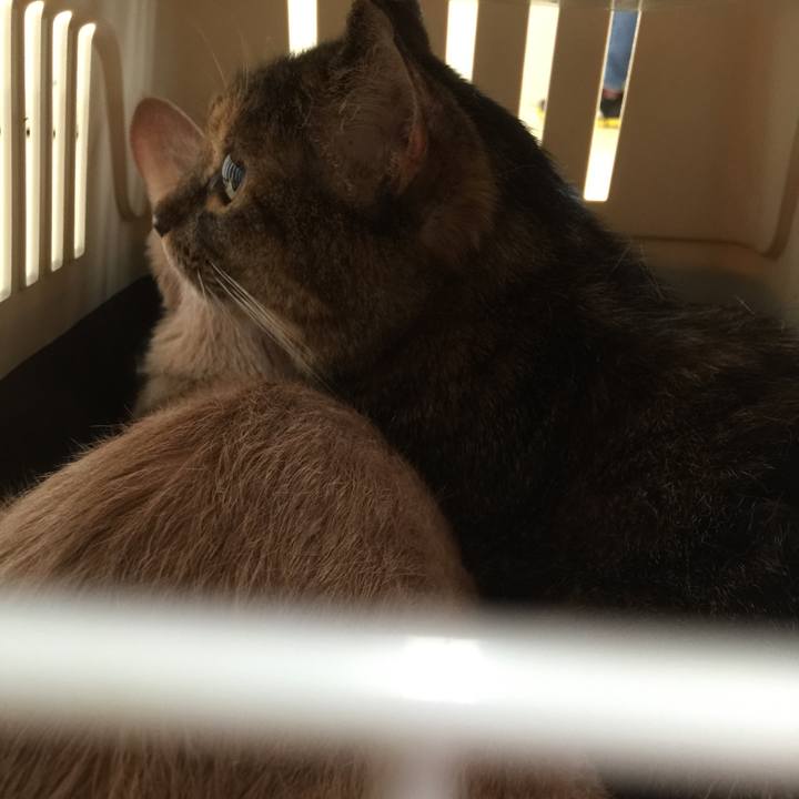 C04aacf3 2c30 4dc7 b69d fde4bea0cd03