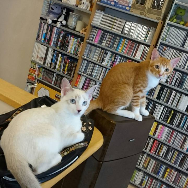 C04aeb92 c5ed 40b4 a975 19987090579a