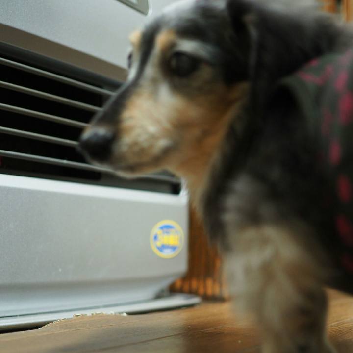 C04b3dde a43a 49bd b493 71d3cccf7d8d