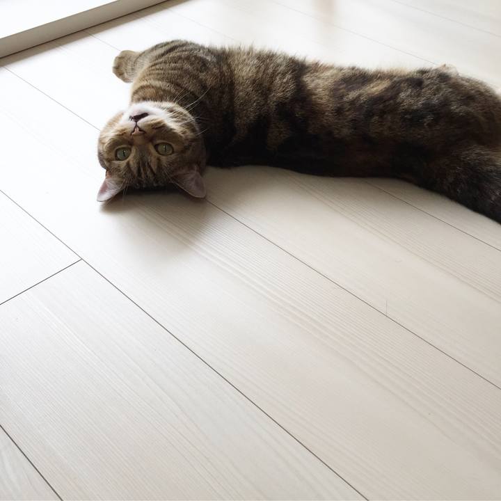 C04b4bcb 863a 4c11 aef1 b63dd1aca6ad