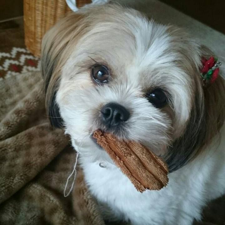 C04b7ba7 542c 4728 ba66 3ebc295d492a