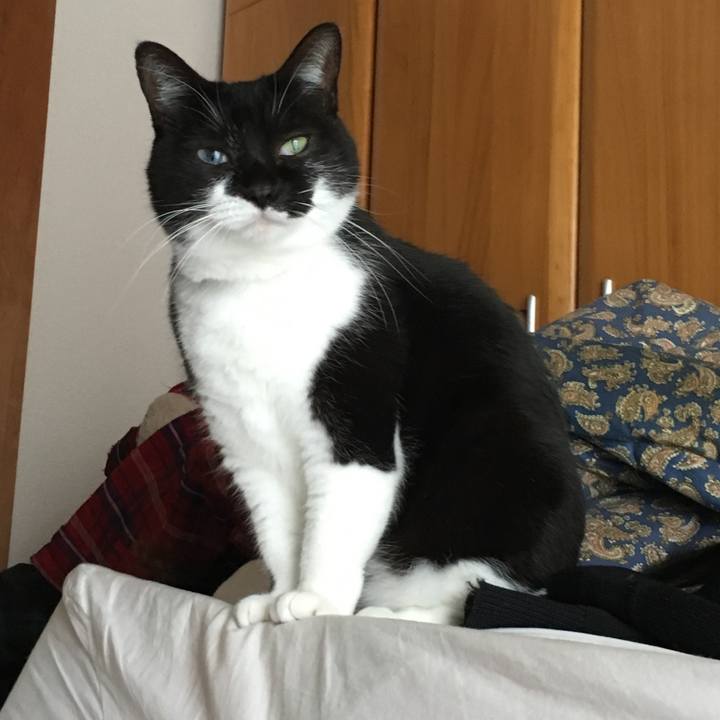 C04ba22f cab5 467a 817d a474a2f69a16