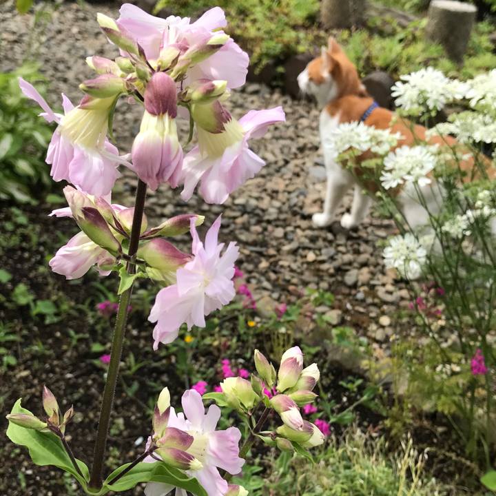 C04be91f 7c53 4ef2 9f15 b95253214f45