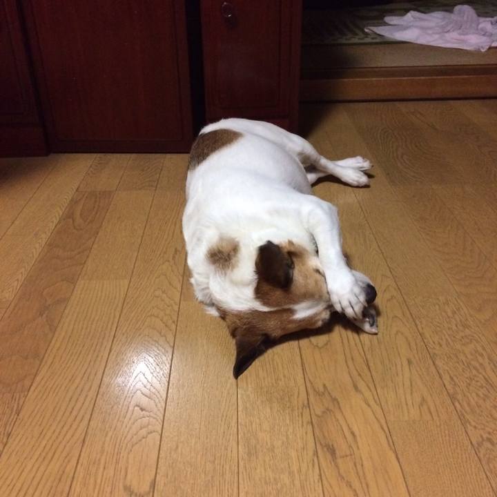 C04bec60 1e43 436e b279 57ae10d6ab34