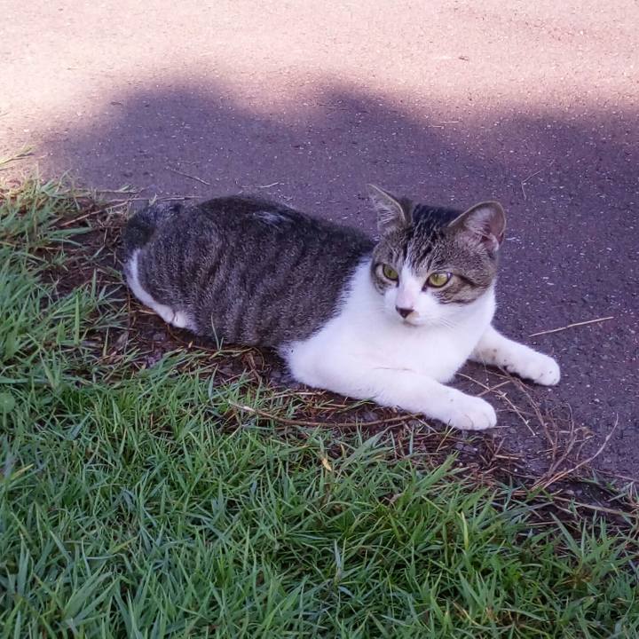 C04bf497 124a 4bfe a3f4 eb17caae0049