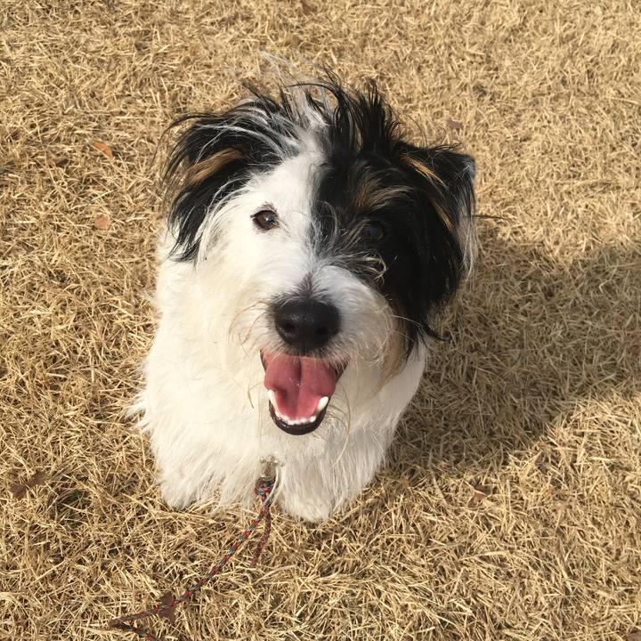 C04c4fd0 76eb 4b80 bfc0 5655d941a8be