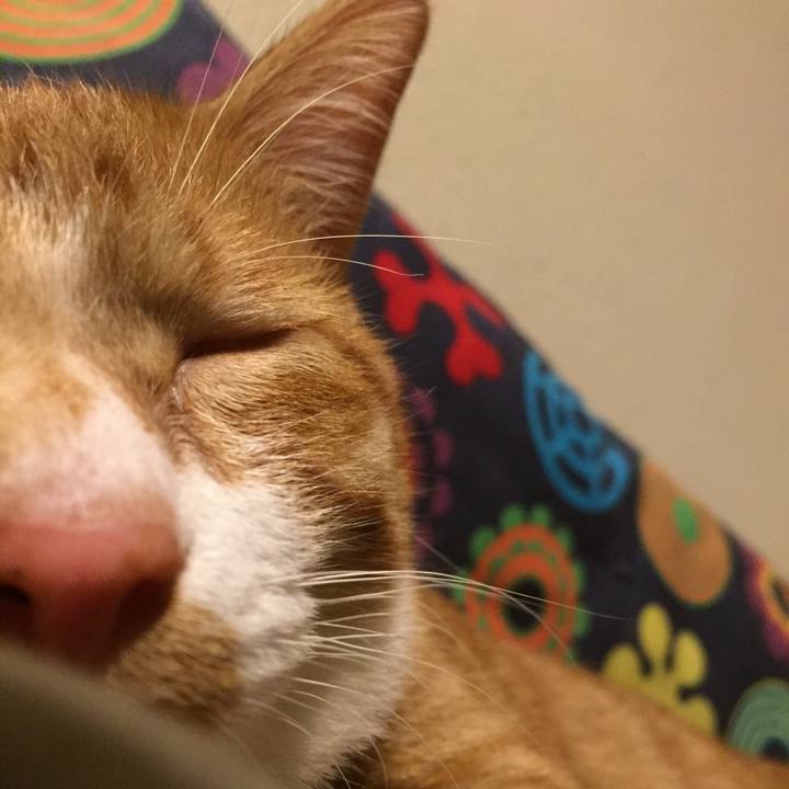 C04c64b7 a276 46e5 a7f2 b9abe9cc9265