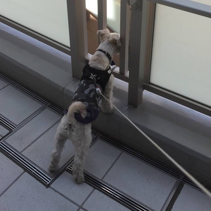 C04cedd2 250b 44c7 bb8e 70cd286b60d7