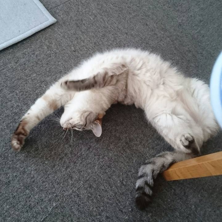 C04e883a 796c 4eb9 b3ad ce679a56da4b