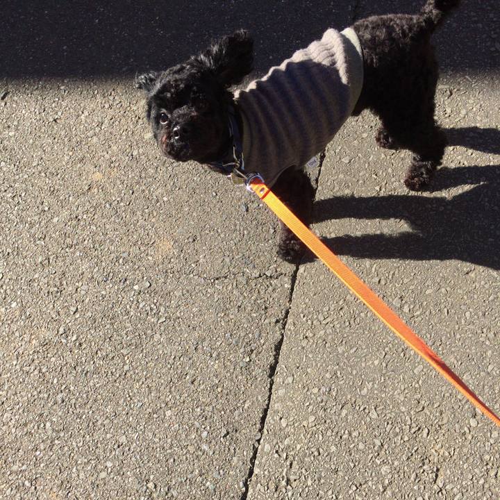 C04f4708 aba6 46f1 b46e 6c34794bdc3c