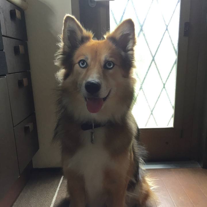 C04fa04e 0509 4779 96f3 a27de93e0830