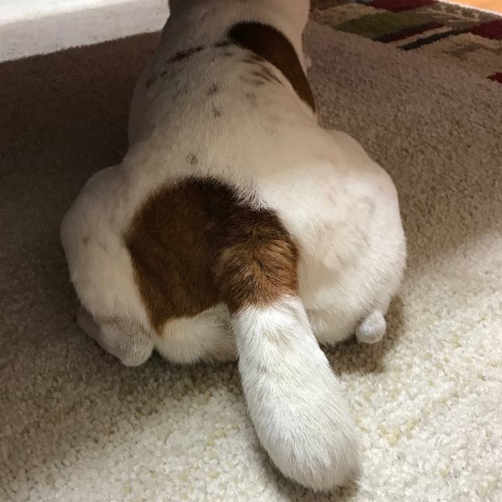 C0500194 0838 4b14 bc96 f2527a3315b7