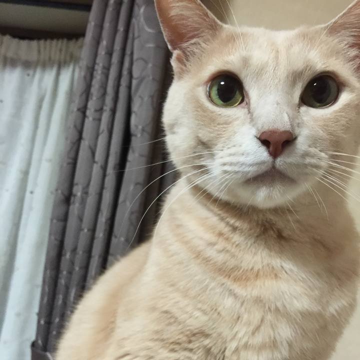 C0511ffe d58b 431a ac64 e7a84597051e