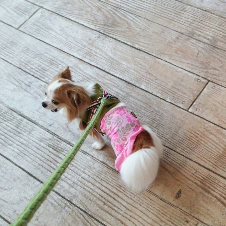 C0513f39 dfba 43c3 8d74 7271af3b5da0