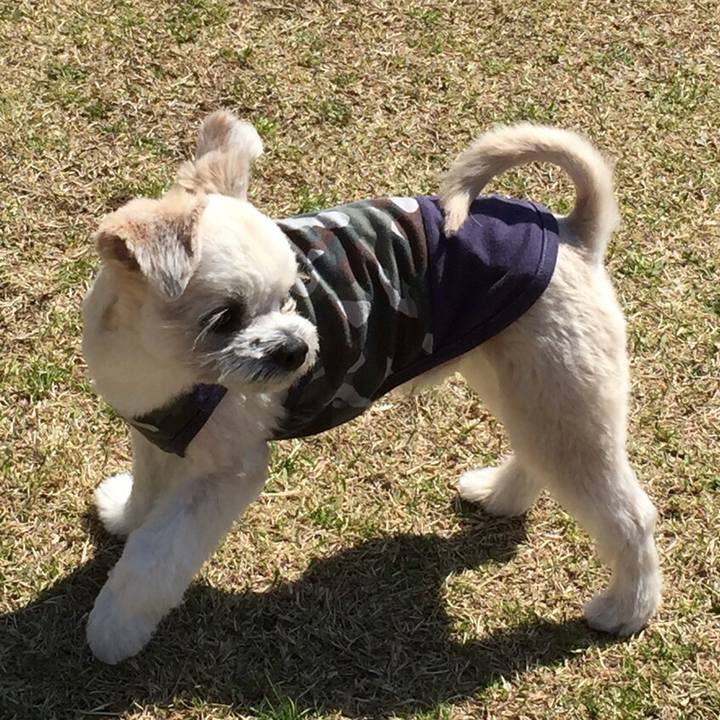 C0514ff4 4dcd 4887 9941 57d88cf176b4