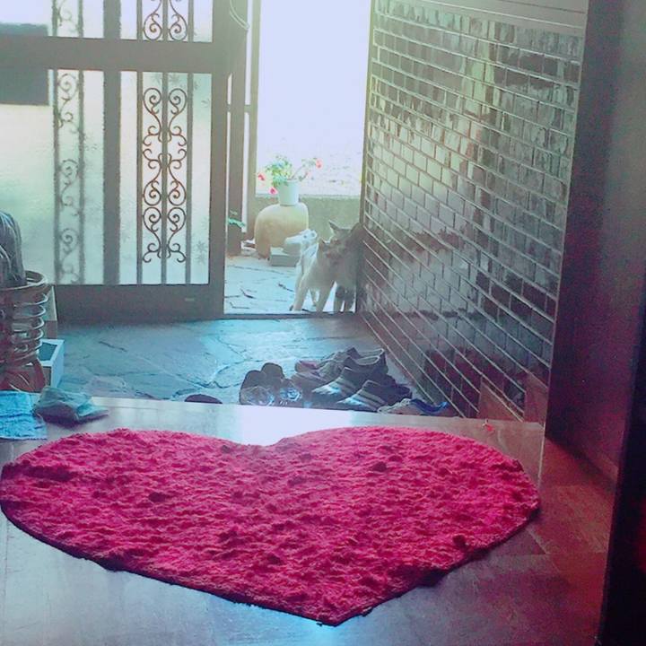 C0523b4a 431f 43b4 ba2c 48a22e439de3