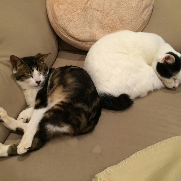 C0536e0f 14ae 484c 98da 1568599f9ecc