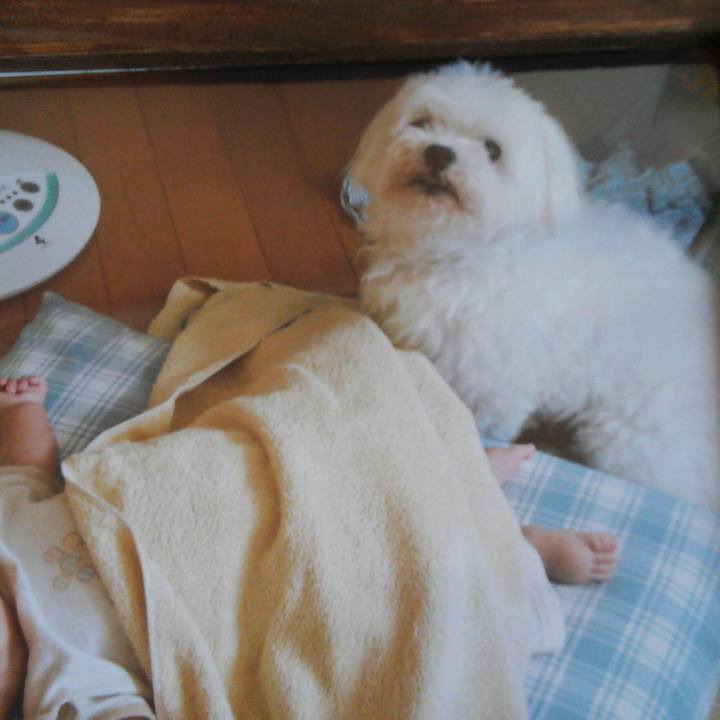 C053b3a9 6c8f 4983 963e cd566d8c32ba