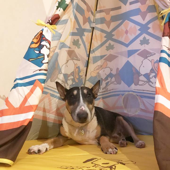 C053c4c2 2449 4685 85fc 5111723c4673