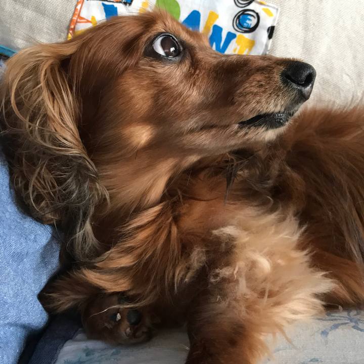 C0548d1f 4dbf 47c2 8b42 c4784e17bc5f