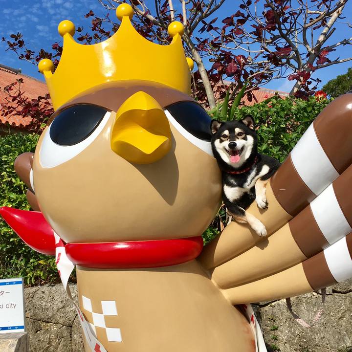 C054b529 b09a 4c7d b111 f010b1ebc7ed