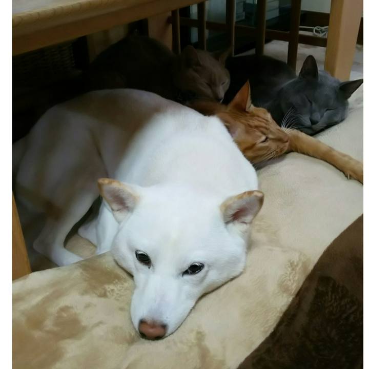 C054db6f 3b57 4fbf bd60 5cf6c313cffa