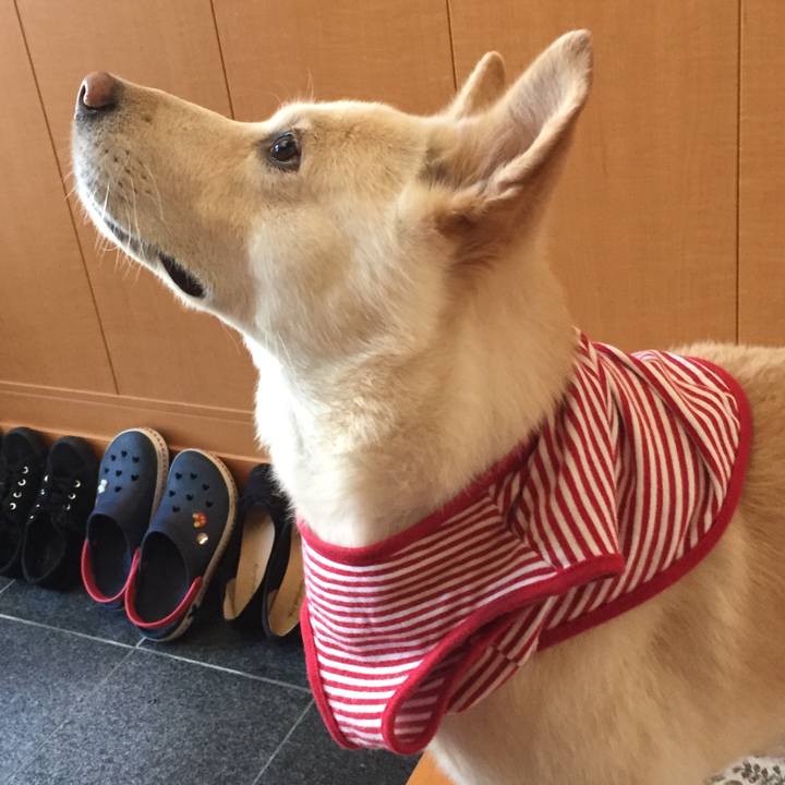 C054fd7c 4fe4 4805 a0e5 ad92cb09c058