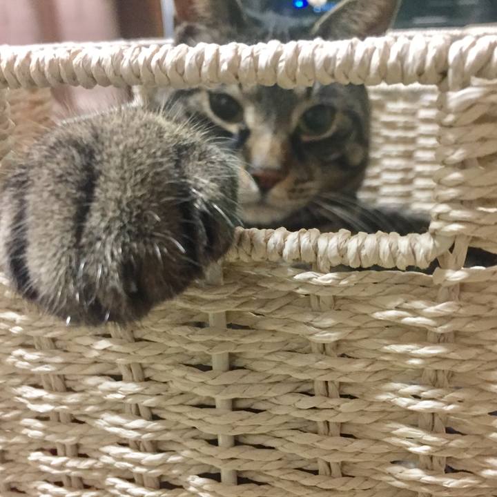 C0552507 313f 4d33 ab75 d5ca901fe7d3