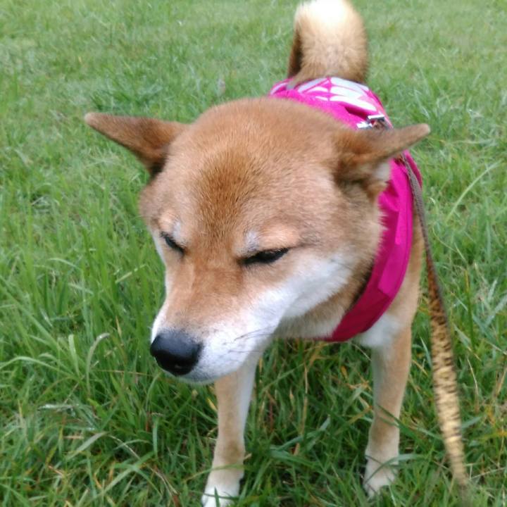 C0554107 b9a3 4546 8806 6a745e32fc13