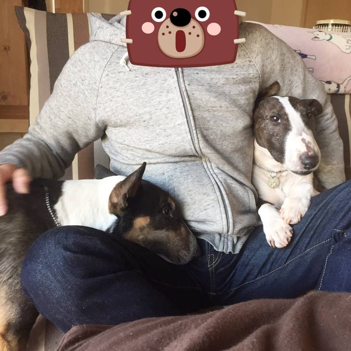 C05588bc 963c 4b3e 82f4 54b3a20a67d7