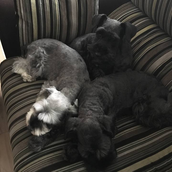 C0559105 13f7 45ed a51e 082f3db077fe