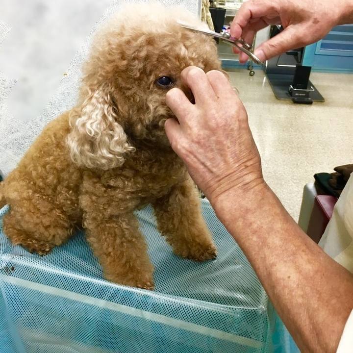 C055f0ac 5140 4d6c 81ef 452eb4f00e94