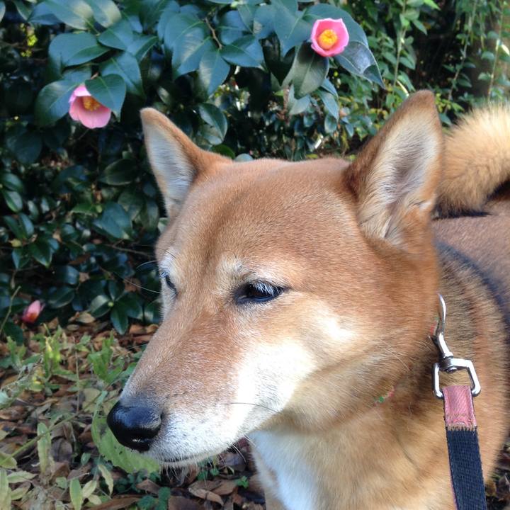 C0560415 cdc7 4f21 9594 a706a65534e8