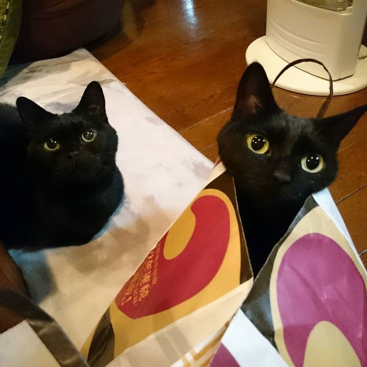 C0563ea5 1e00 4228 96de c08375031e1e