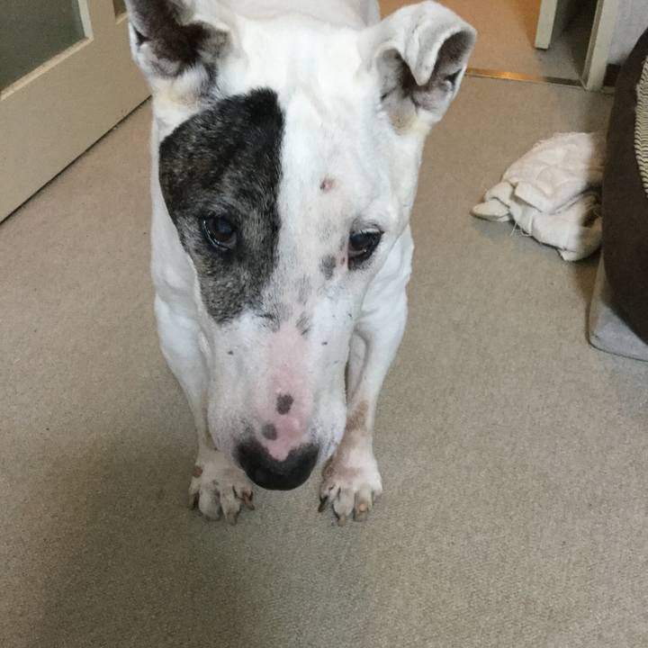 C056a513 397b 4363 ab84 4de8063ffcfa