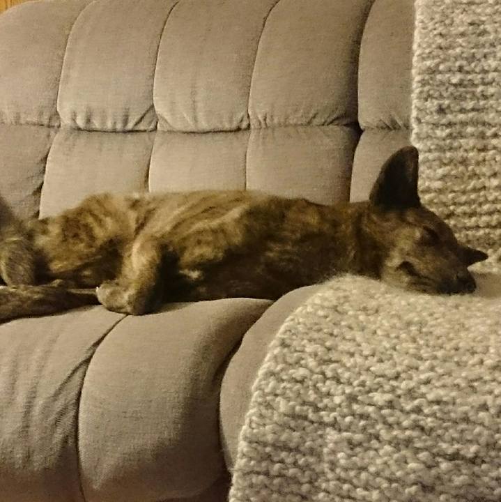 C057d277 4a93 4a8f 9637 41fdc025840f