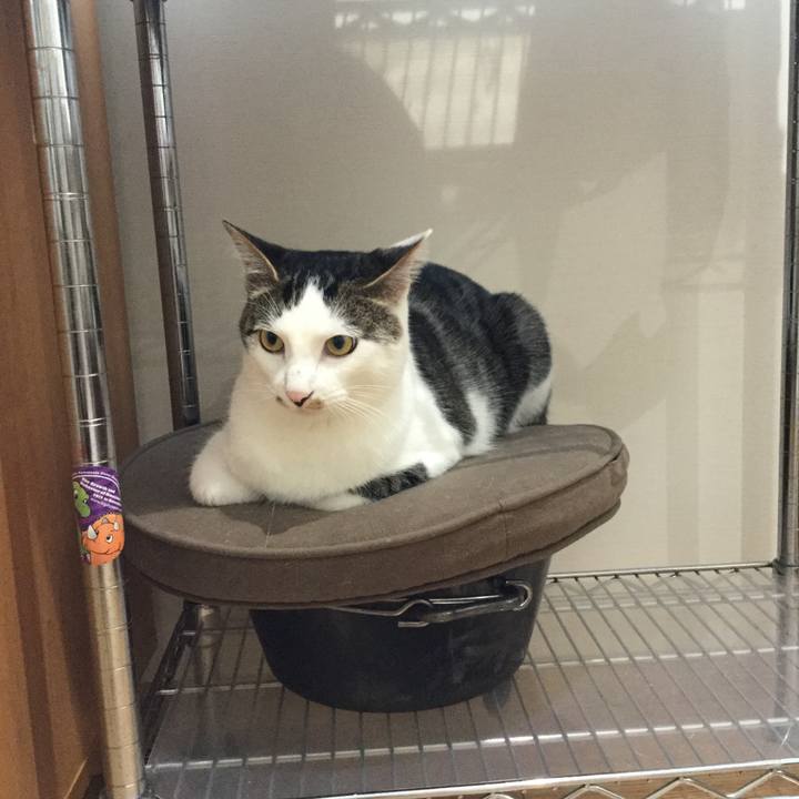 C05905d6 5ac4 478e 846d bed0d413fc89