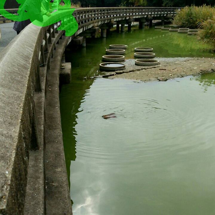 C05aa496 eea4 4cbb 9344 d6436e7049d7