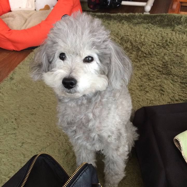 C05abc12 a171 499e 873b c5da3427c476