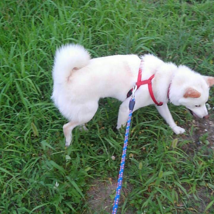 C05b5d24 03a0 4e06 b2d0 f59a808ee5c4