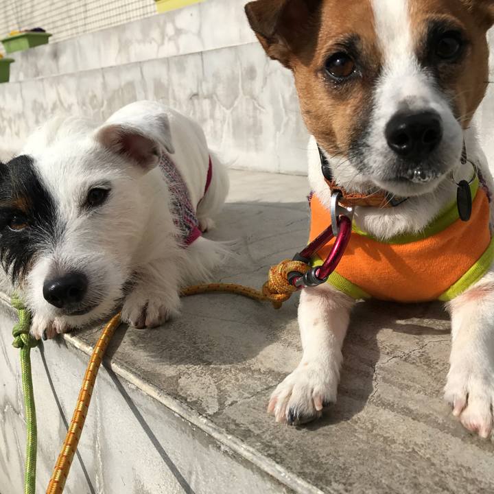 C05c8f7d dacb 45f7 9eb4 bc9f0d6c0ac4