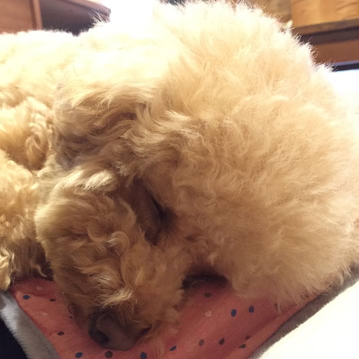 C05cd65c daa3 4bf9 b453 32b0fdadcbfc