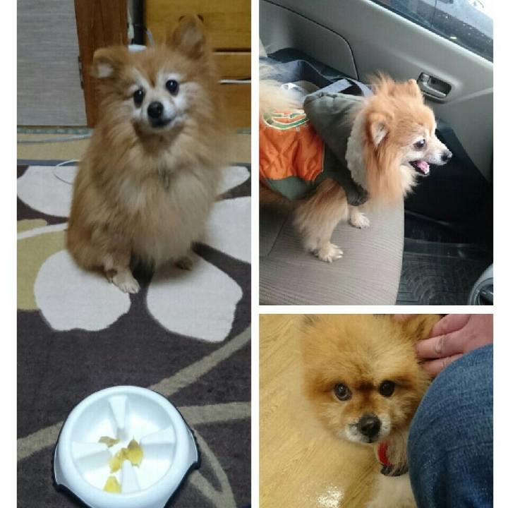 C05d52f0 e22d 455a 886d 18afe3a13336