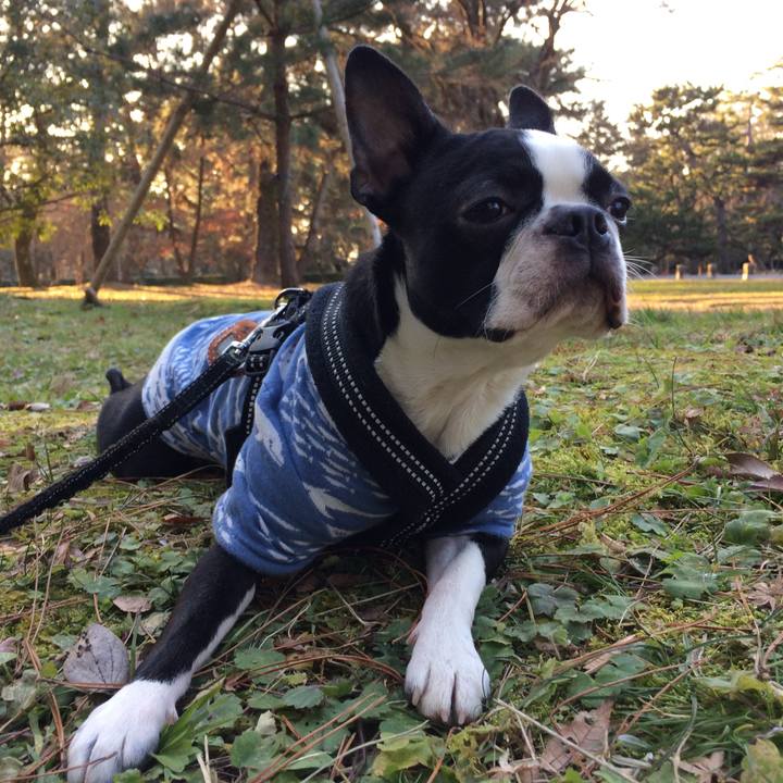 C05d8f91 b1a5 4ece 8112 1b8be97a421a