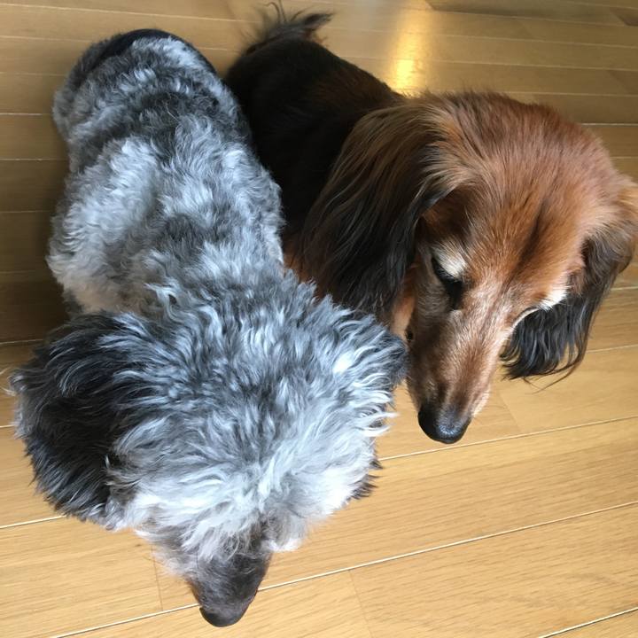 C05e2139 30c1 45a9 9d13 49b83b5a25cc