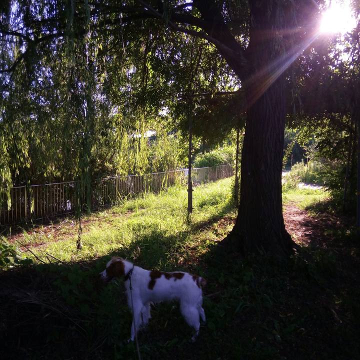 C05e3086 9cde 4ac4 bc0d d7bcb21516df