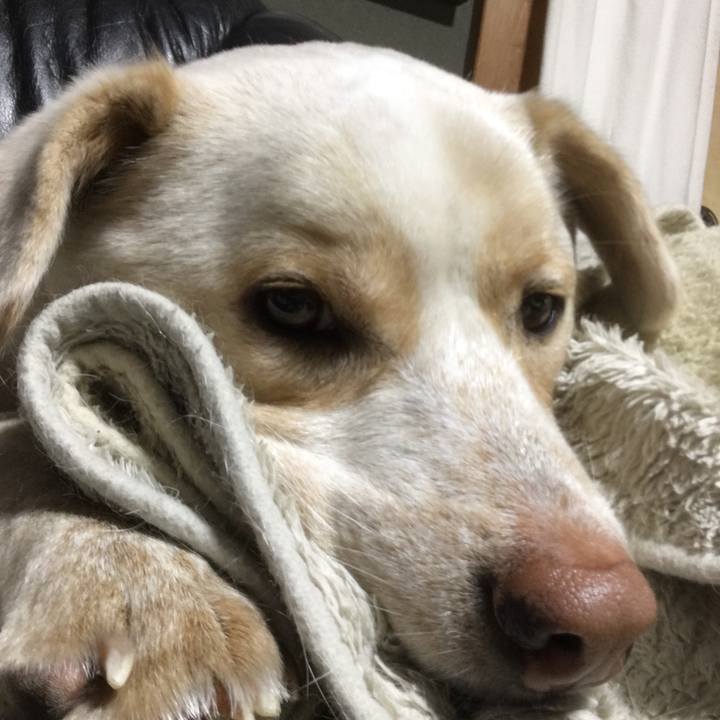 C05eaaa0 1358 4069 9256 60375a9bfc21