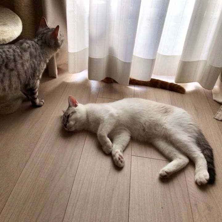 C05f1af8 136e 43dc 8046 b6d55308fb99