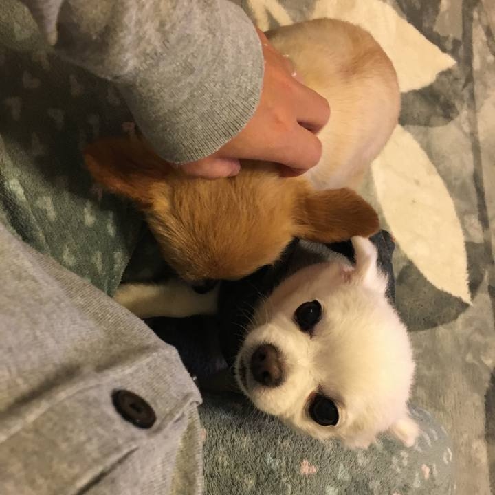 C05f5095 2662 4ef5 95be 95fea7ea3099